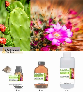 Aloe, Cactus Flower and Jade (EO Infused) Fragrance Oil
