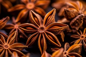 Anise Fragrance Oil
