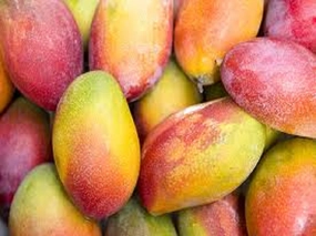 Apple Mango Tango by Gain Type Fragrance Oil