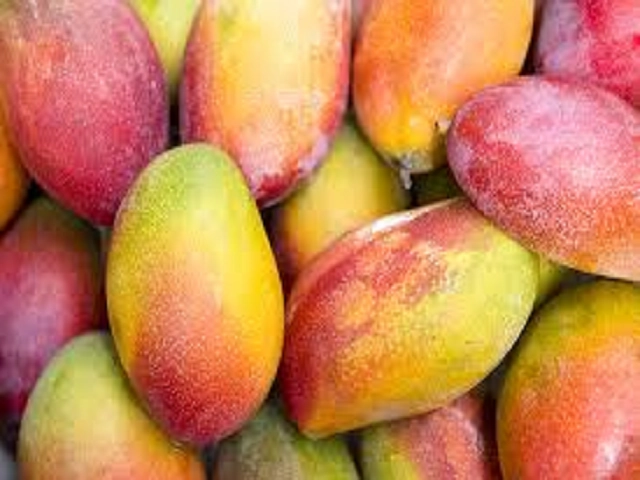 Apple Mango Tango by Gain Type Fragrance Oil