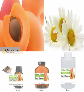 Apricot Chamomile Fragrance Oil