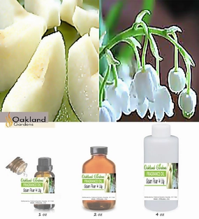 Asian Pear & Lily Fragrance Oil