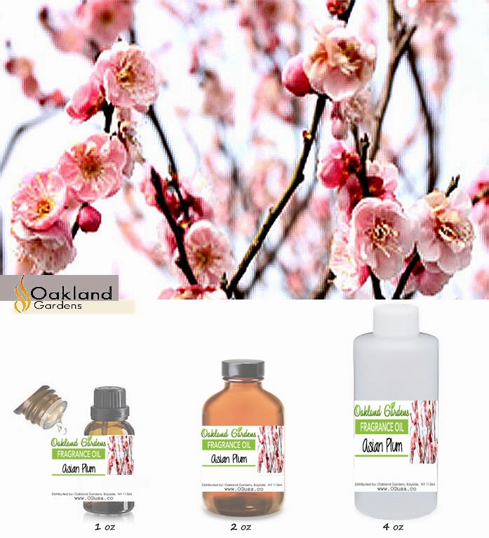 Asian Plum Fragrance Oil