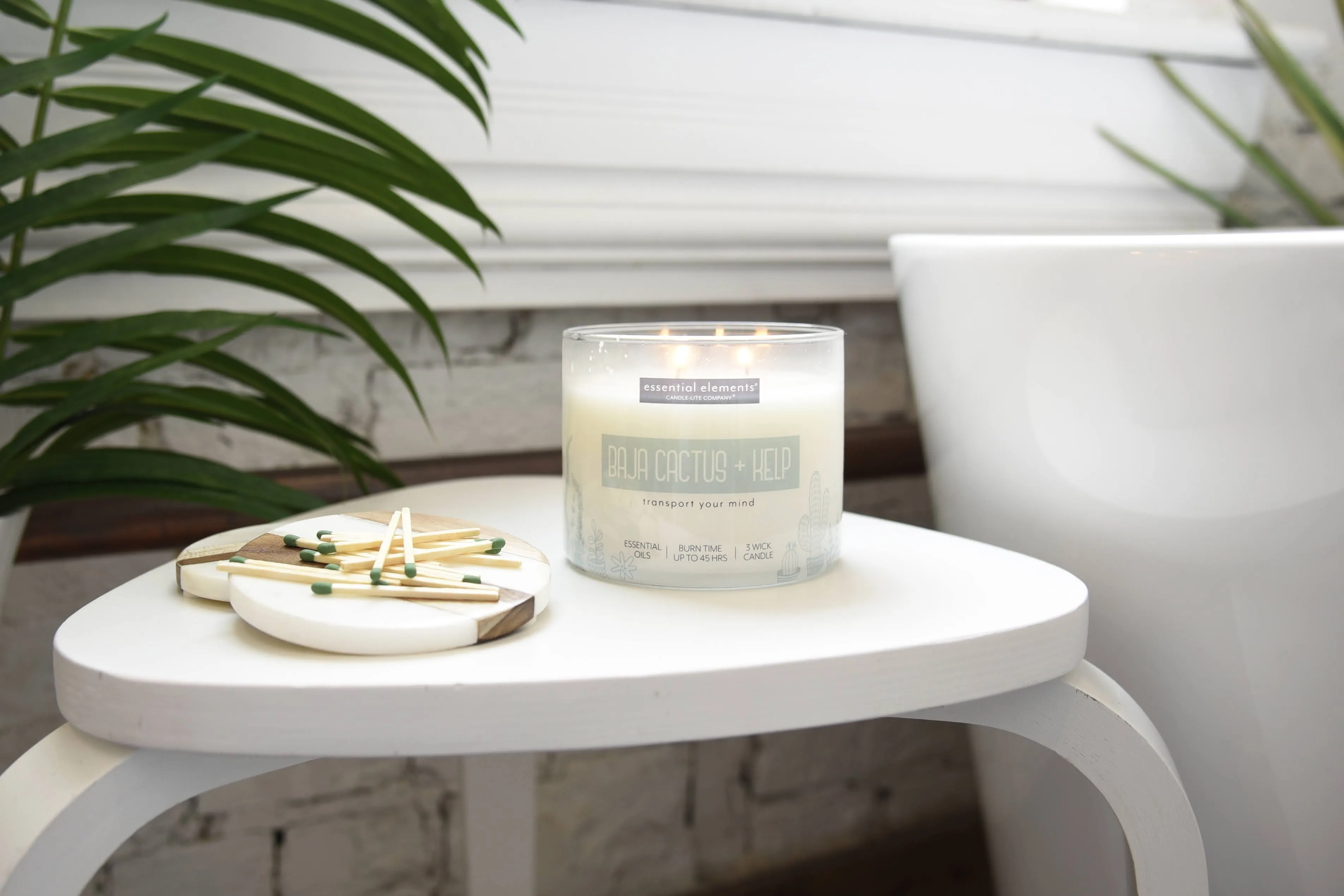 Baja Cactus & Kelp 3-wick 14.75oz Jar Candle