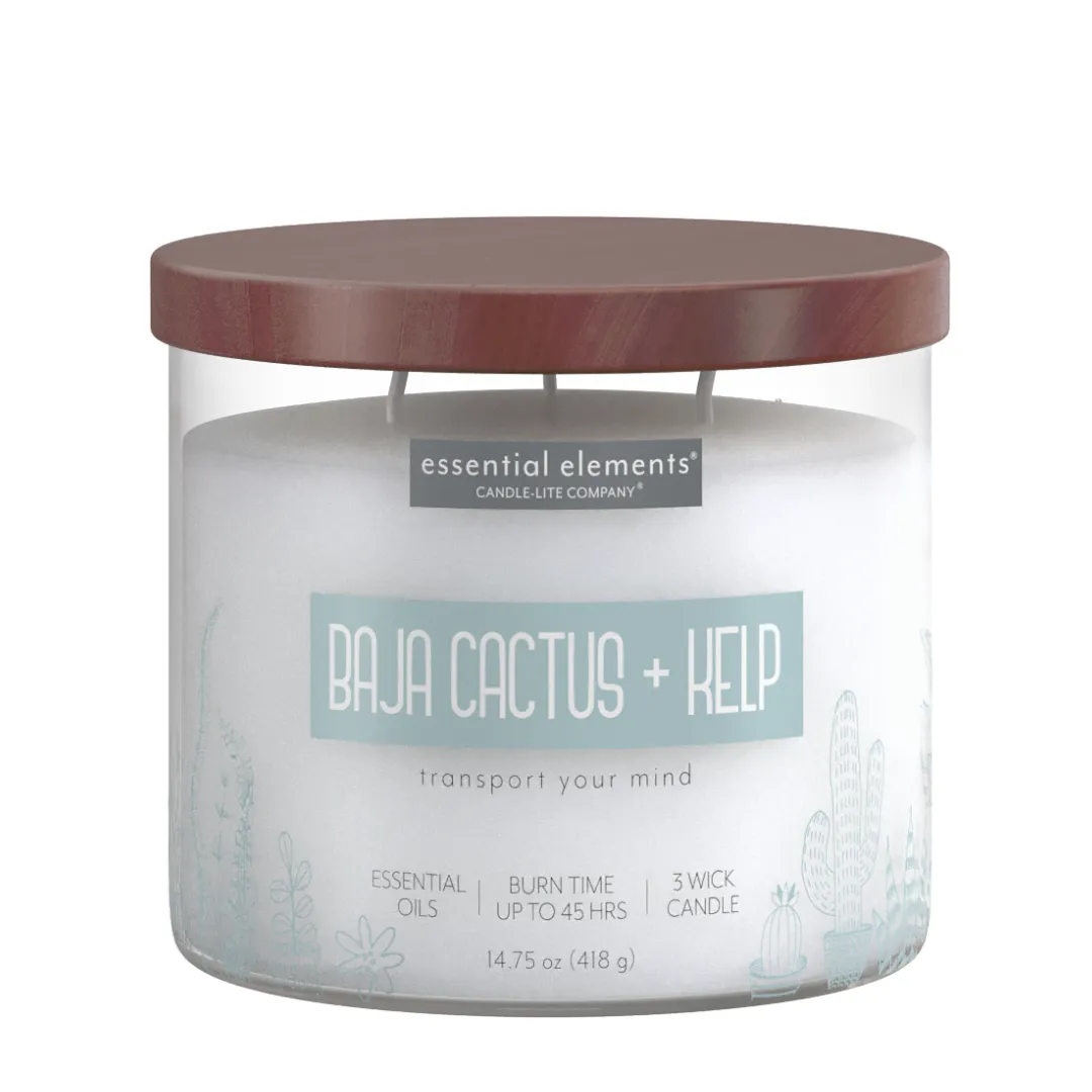 Baja Cactus & Kelp 3-wick 14.75oz Jar Candle