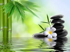 Bamboo Type Fragrance Oil
