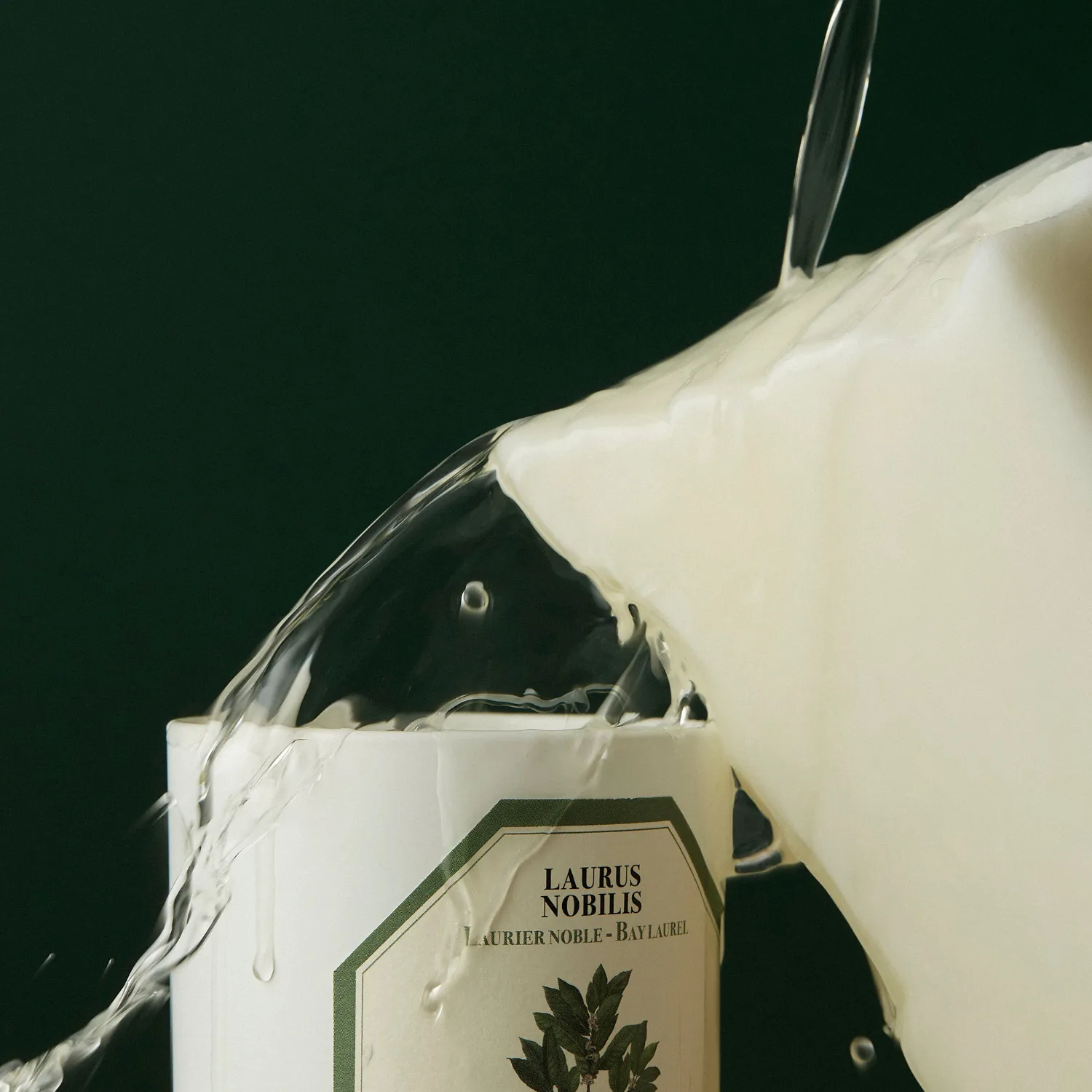 Bay Laurel Candle