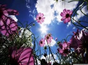 Beautiful Day by BBW Type Fragrance Oil