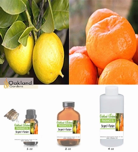 Bergamot & Mandarin Fragrance Oil