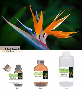Birds of Paradise Fragrance Oil