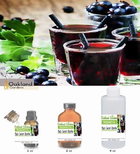 Black Currant Absinthe Fragrance Oil (EO Infused)