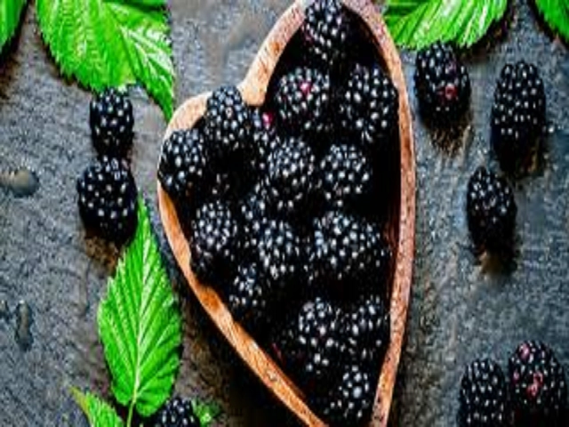 Blackberry Sage Type Fragrance Oil