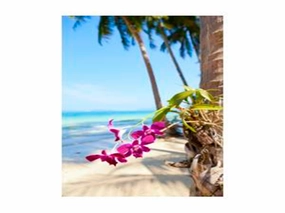 Blossom & Sea Shores Type Fragrance Oil