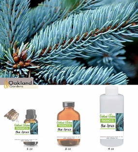 Blue Spruce Fragrance Oil