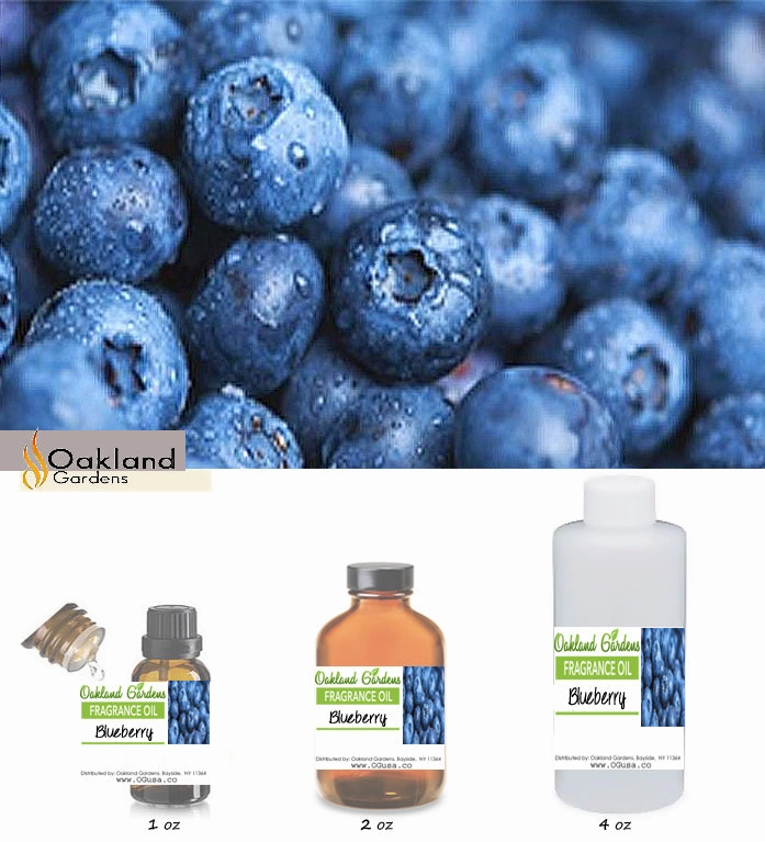 Blueberry Fragrance Oil