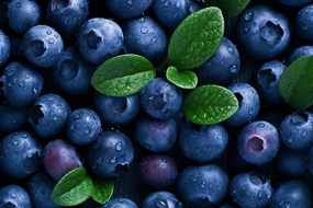 Blueberry Fragrance Oil * New & Improved*
