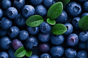 Blueberry Fragrance Oil * New & Improved*
