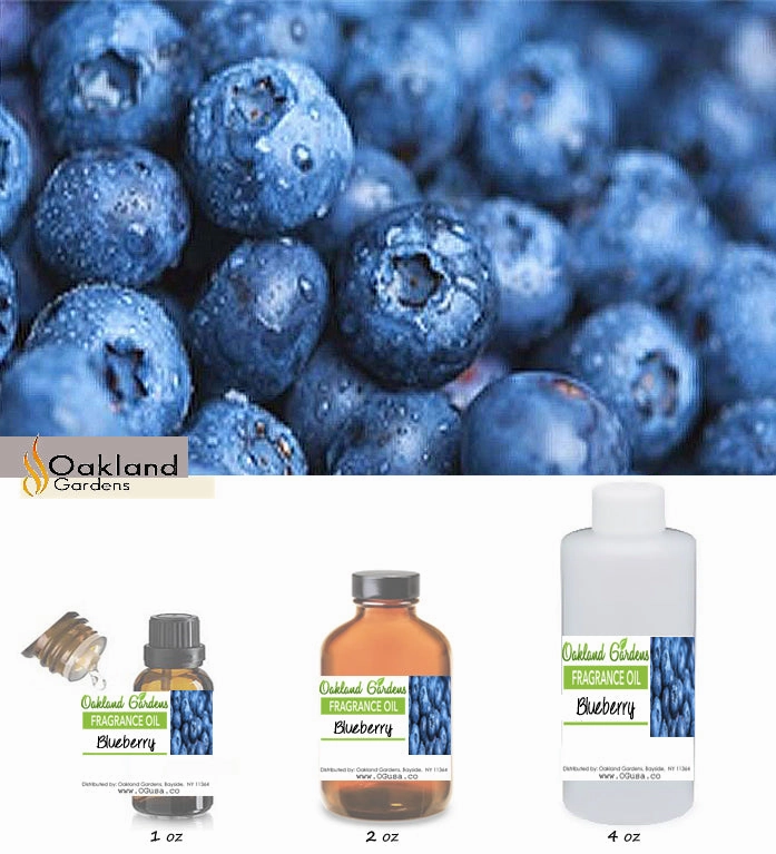 Blueberry Fragrance Oil