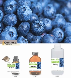 Blueberry Fragrance Oil