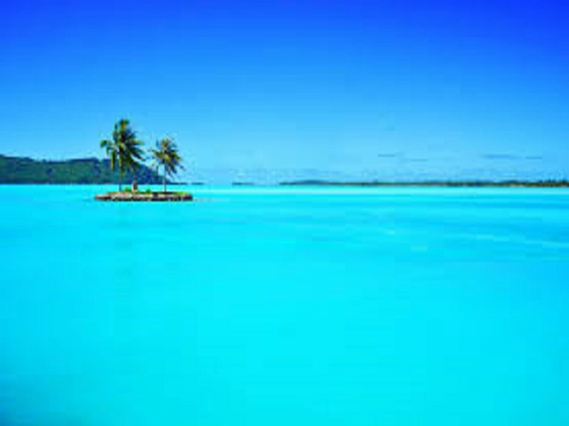 Bora Bora by Rustic Escentuals Type Fragrance Oil