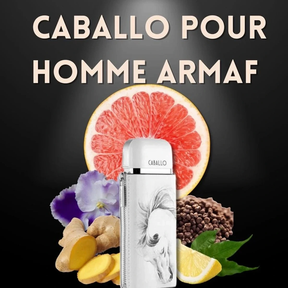 Caballo 3.4 oz EDP for men