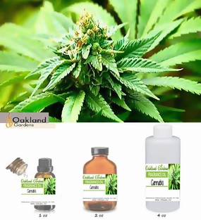 Cannabis Fragrance Oil