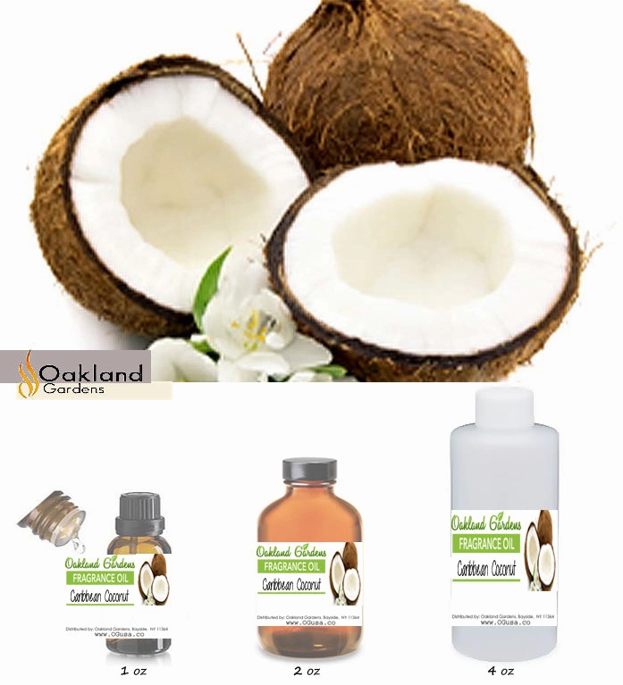 Caribbean Coconut Fragrance Oil