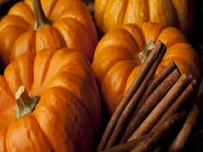 CLOSEOUT Pumpkin Spice Type Fragrance Oil