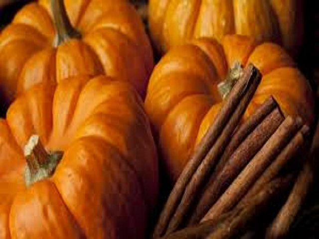 CLOSEOUT Pumpkin Spice Type Fragrance Oil