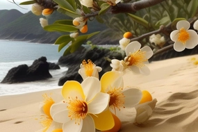 Coastal Neroli & Amber Fragrance Oil