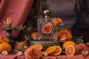 Coco Mademoiselle Chanel Type Fragrance Oil *New & Improved*