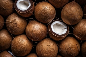 Coconut Fragrance Oil New & Improved