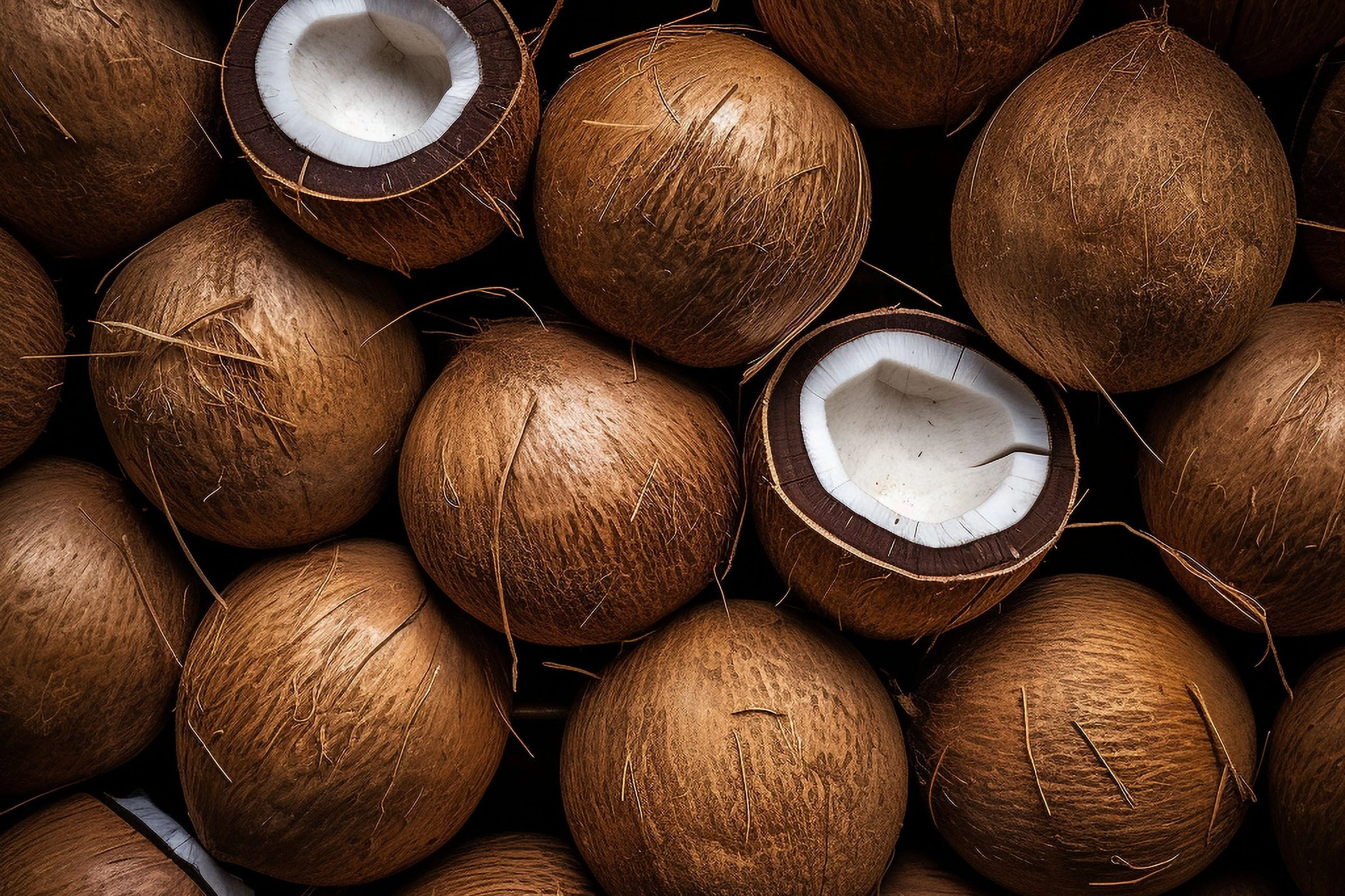 Coconut Fragrance Oil New & Improved