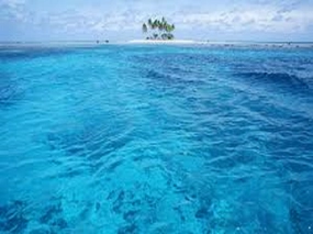 Cool Water by Davidoff Type Fragrance Oil