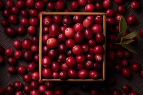 Cranberry Fragrance Oil