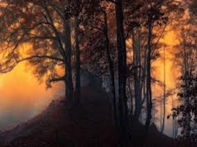 Crisp Morning Air by YC Type Fragrance Oil