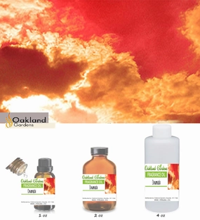 Dreamsicle Fragrance Oil