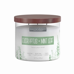 Eucalyptus & Mint Leaf 3-wick 14.75oz Jar Candle