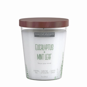 Eucalyptus & Mint Leaf 9oz Jar Candle