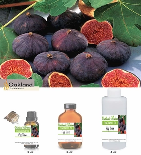 Fig Tree Fragrance Oil