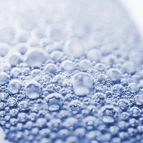 Fizz - Premium Fragrance Oil