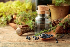 Forest Chai Fragrance Oil