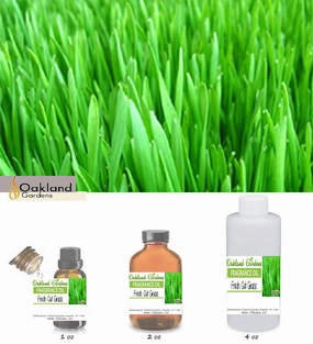 Fresh Cut Grass Fragrance Oil
