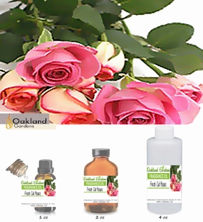 Fresh Cut Roses Fragrance Oil