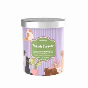 Friends Furever 2-wick 17oz Jar Candle