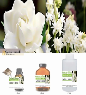 Gardenia & Tuberose Fragrance Oil (EO Infused)