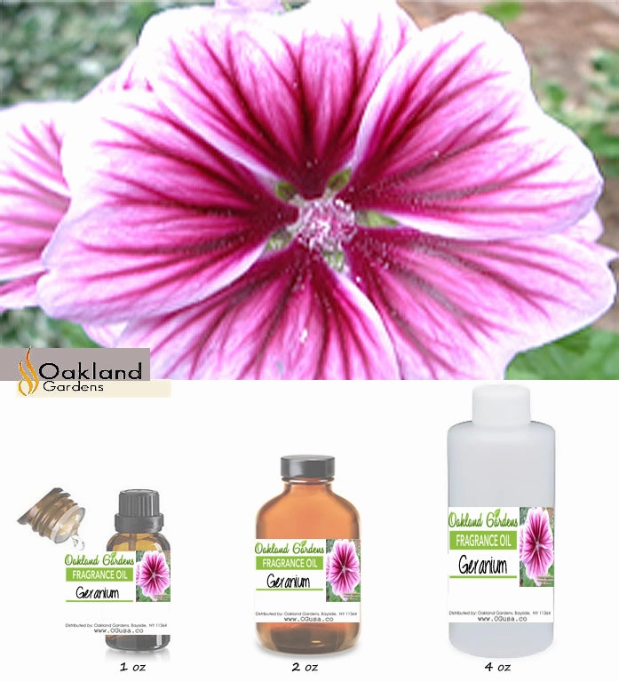Geranium Fragrance Oil