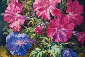 Geranium Fragrance Oil* New & Improved*