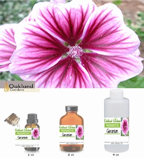 Geranium Fragrance Oil
