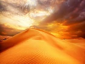 Golden Sands by YC Type Fragrance Oil